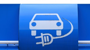 Neuer Rekord bei Umstieg auf E-Autos - Staatliche Pr&auml;mie verst&auml;rkt den Trend