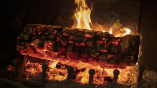 Digitales Kaminfeuer l&ouml;st Feuerwehreinsatz in Baden-W&uuml;rttemberg aus