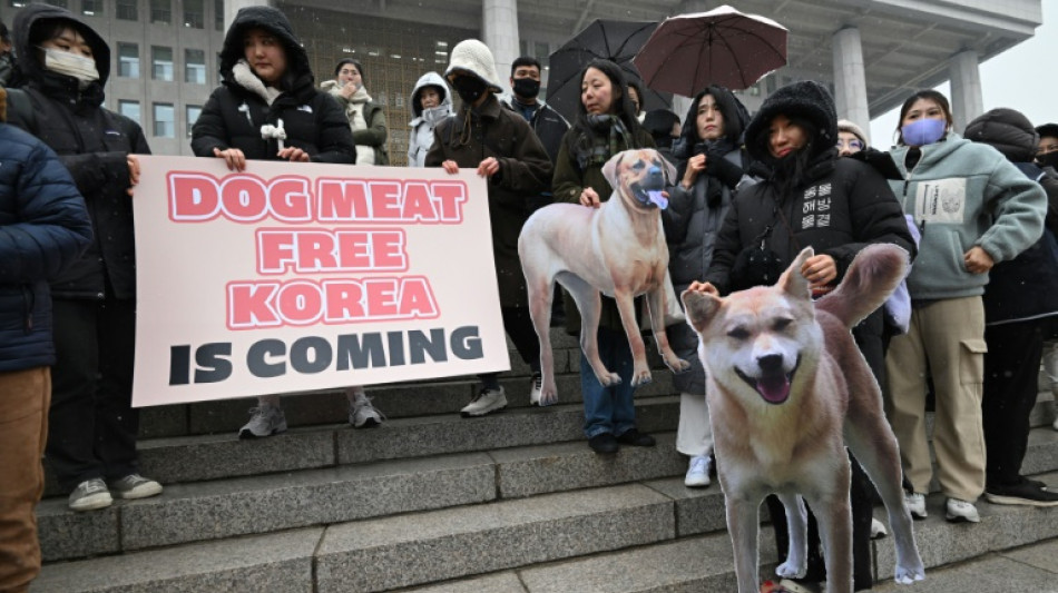 Parlamento da Coreia do Sul pro&iacute;be o com&eacute;rcio de carne de cachorro