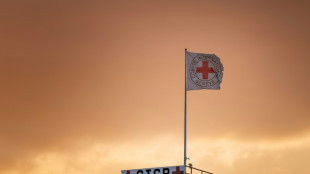 M&aacute;s de un cuarto de mill&oacute;n de personas permanecen desaparecidas por guerras y migraciones