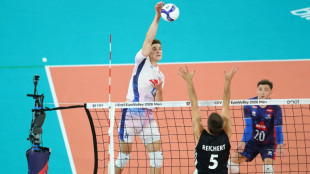 Euro de volley: l'homme "Faure" des Bleus
