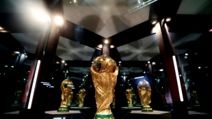 Fu&szlig;ball-WM: Brauereien rechnen nicht mit Bier-Boom - Adidas erwartet Absatzrekord