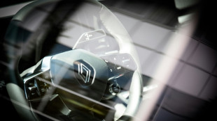 Renault to pursue autonomous minibuses but not cars