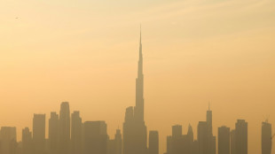 'Time to deliver': pressure grows for climate deal in Dubai 