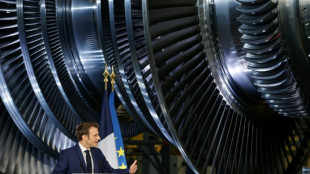 Frankreich will bis zu 14 neue Atomreaktoren bauen