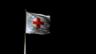 Comit&eacute; Internacional de Cruz Roja sufri&oacute; ciberataque masivo