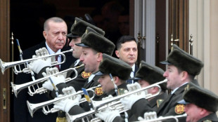 Erdogan eyes Ukraine summit with Putin on Kyiv visit