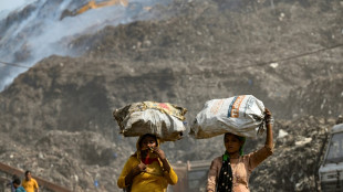 South Asia wilts in heat as Delhi rubbish dump burns