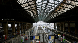 Gr&egrave;ve SNCF: le trafic francilien "fortement perturb&eacute;" sur certaines lignes