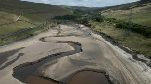 El norte de Europa, azotado por una sequ&iacute;a excepcional