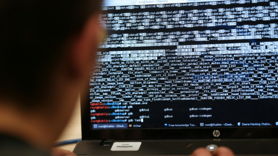 Razzia gegen mutma&szlig;liche Computersaboteure in vier Bundesl&auml;ndern