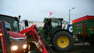 Dermatose: la mobilisation enfle dans le Sud-Ouest malgr&eacute; les annonces minist&eacute;rielles