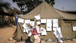 Voting enters second day in Zimbabwe polls amid fraud fears