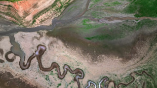 Brazil megacity Sao Paulo struck by fresh water crisis