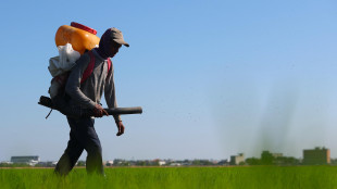 Lollobrigida, attivati oltre 136 milioni contro il rincaro dei fertilizzanti