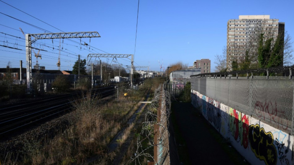Apr&egrave;s Paris et New York, Londres veut sa propre coul&eacute;e verte