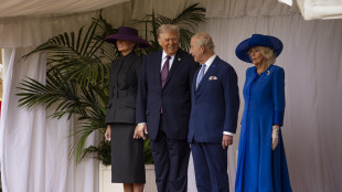 L'ambasciatore Usa avverte Gb, 'non cancellate la visita di re Carlo'