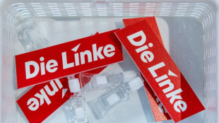 Linken-Chefin Schwerdtner kritisiert "Kampagne mit allen Mitteln" gegen Berliner Verband