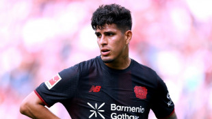 Rolfes best&auml;tigt: Hincapi&eacute; vor Wechsel nach England