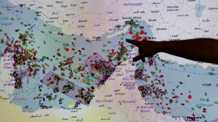 French hub monitors Hormuz tensions from afar