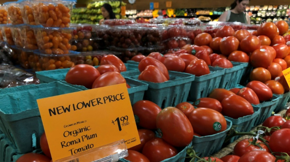 EEUU impone arancel del 17% a la mayoría de los tomates mexicanos 