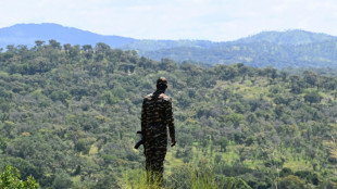 Ivory Coast clamps down on harmful illegal gold rush