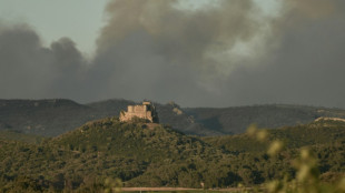 Narbonne: 1.500 hectares de forêt en feu, habitants évacués, A9 fermée