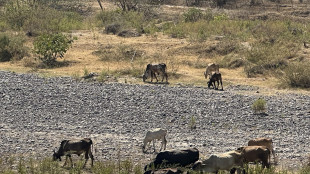 Honduras, riserve d'acqua della capitale sotto il 26%