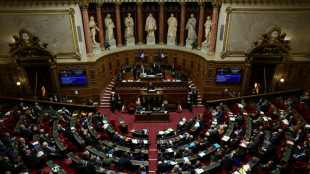 Le S&eacute;nat approuve la partie "recettes" du budget dans la confusion, la gauche boycotte le vote
