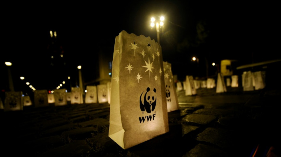 Rusia proh&iacute;be las actividades de la oeneg&eacute; ecologista WWF