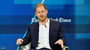 Royaume-Uni: nouvelle tentative du prince Harry pour r&eacute;cup&eacute;rer sa protection polici&egrave;re