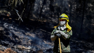'The sun didn't sting so much before': fires stun Colombia's Andes
