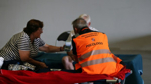 Los incendios en España vuelven a señalar a los políticos