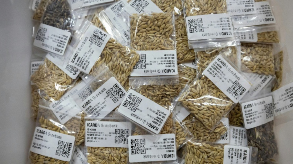 A diversidade de sementes, um tesouro para a adaptação à mudança climática