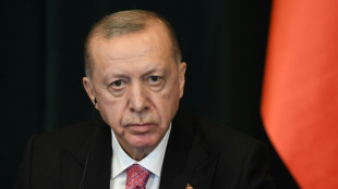 Erdogan sacks statistics chief after record inflation