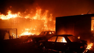 Extreme heat drives Chile wildfires leaving at least 51 dead