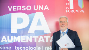 Chelli (Istat), Pa attiva sui temi del digitale, passi in avanti