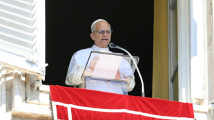Papst Leo XIV. zeigt sich solidarisch mit Zivilbevölkerung im Gazastreifen