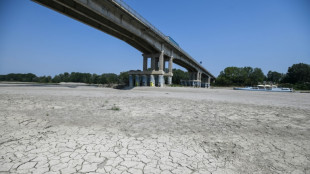 Italy's Po Valley rations water amid record drought