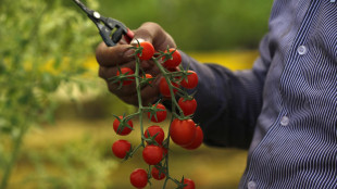 Agricoltura biodinamica immune dai rincari dei fertilizzanti per la guerra nel Golfo