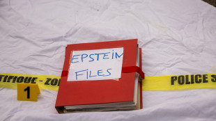 Caso Epstein, una decina di nuove vittime si presentano alla Procura di Parigi