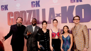 'Godzilla x Kong' tops N.America box office with $80 mn haul