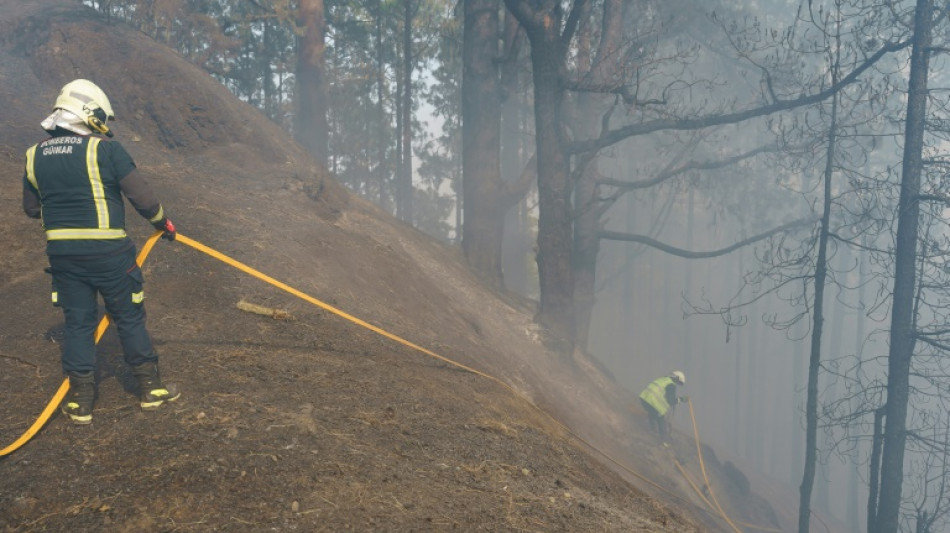 Espagne: l'incendie de Tenerife "stabilis&eacute;", annoncent les autorit&eacute;s locales 