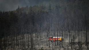 Los incendios forestales y las micropart&iacute;culas ponen en peligro la calidad del aire, seg&uacute;n la ONU