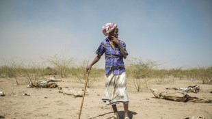 UN says $1 billion aid urgently needed for crisis-hit Ethiopia