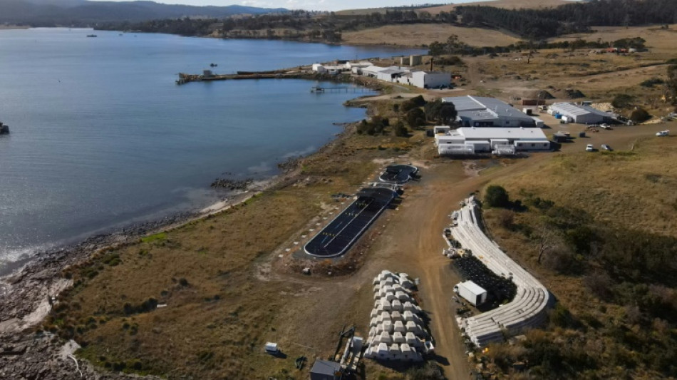 Australian seaweed farm tackles burps to help climate 