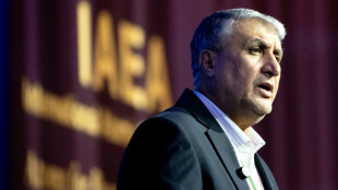 Le chef du nucl&eacute;aire iranien emp&ecirc;ch&eacute; d'assister &agrave; une r&eacute;union &agrave; Vienne sous pression am&eacute;ricaine