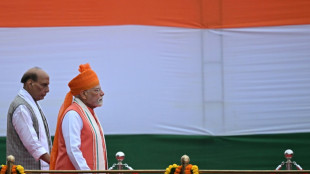 India desarrollará motores de aviones de combate con una empresa francesa