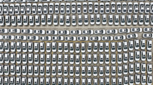 Las autoridades chinas intentan frenar la "competencia irracional" en los coches eléctricos