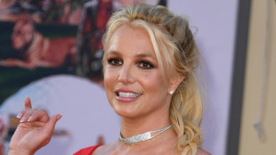 Britney Spears plaide coupable de conduite imprudente en Californie
